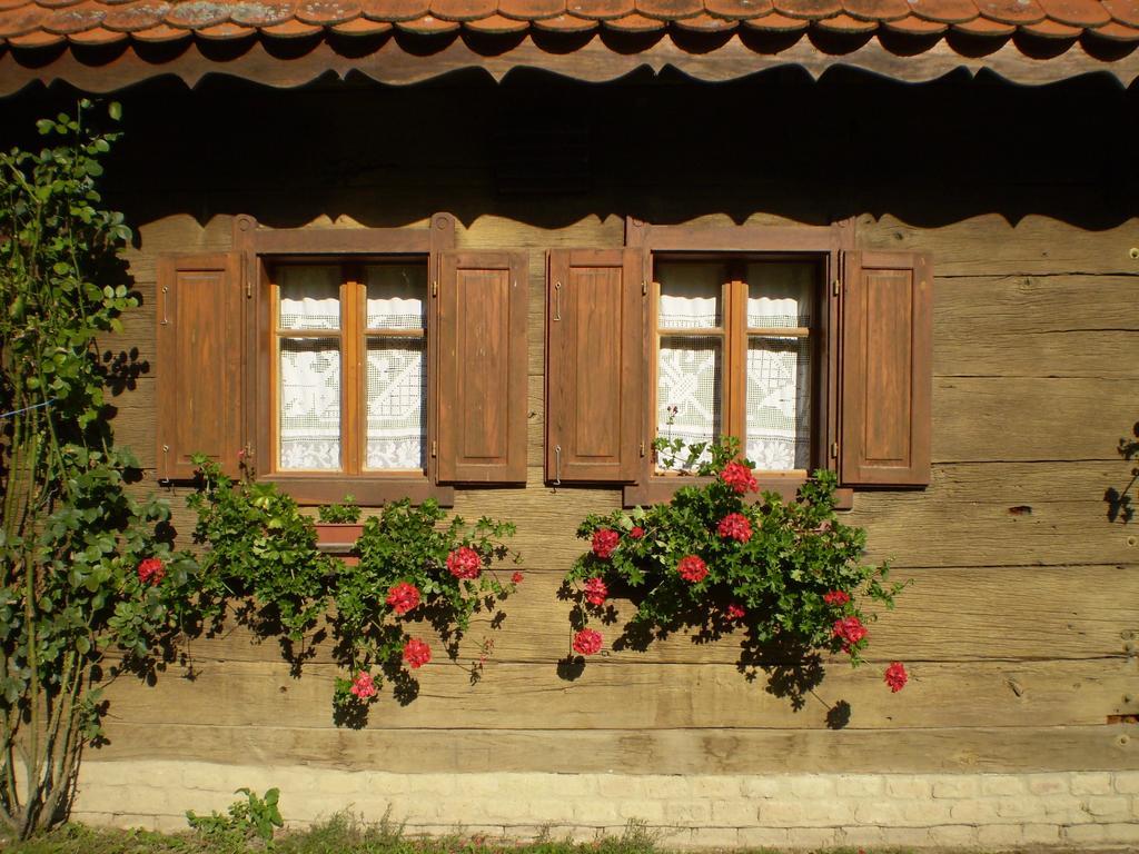 Apartments Iza Na Trem Čigoč Exterior foto