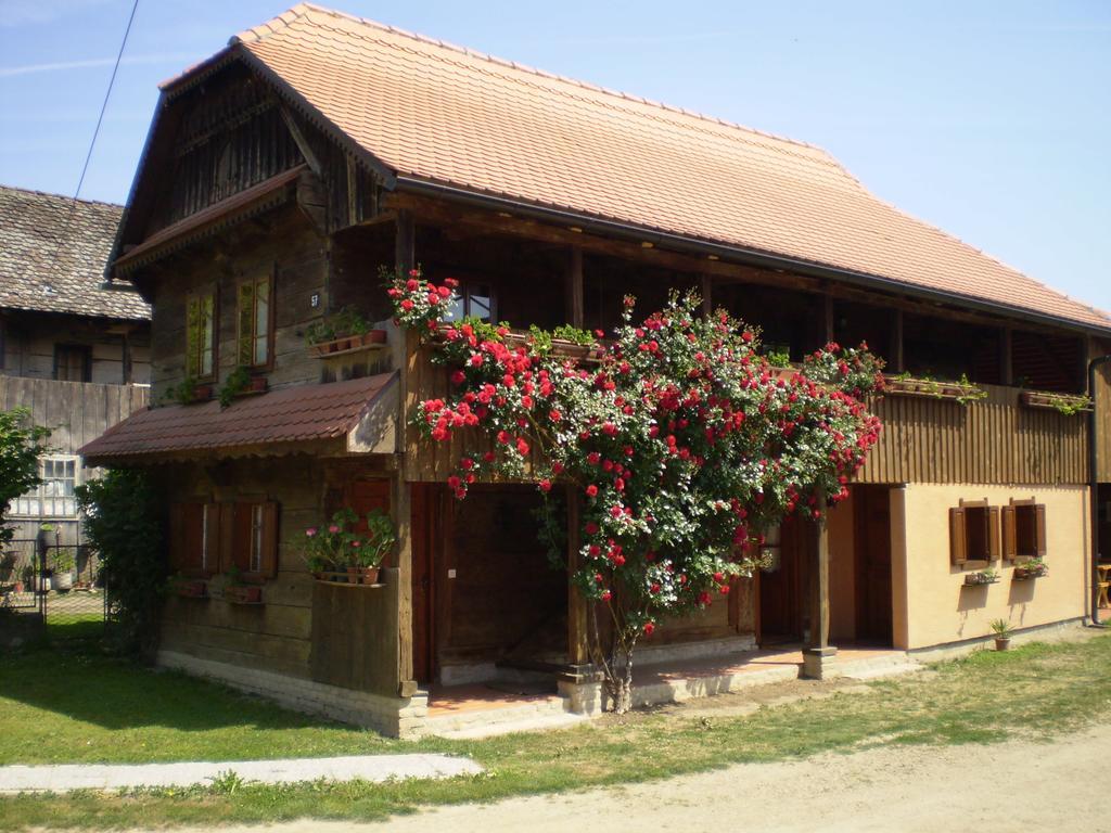 Apartments Iza Na Trem Čigoč Exterior foto